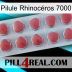 Pilule Rhinocéros 7000 18